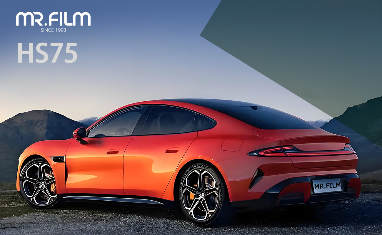 car paint protection film защитная пленка для автомобильной краски