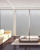 Подкраска любимчика красочной оконной пленки уединения современная замороженная для офиса